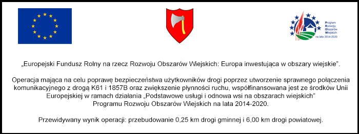 Budowa drogi powiatowej relacji Budy Poryckie (...) i drogi gminnej w Ignacewie