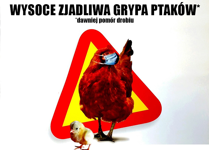 WYSOCE ZJADLIWA GRYPA PTAKÓW - szkolenie Powiatowego Lekarza Weterynarii w GOKiS w Stawiskach