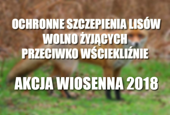 Ochronne szczepienia lisów wolno żyjących przeciwko wściekliźnie - akcja wiosenna 2018