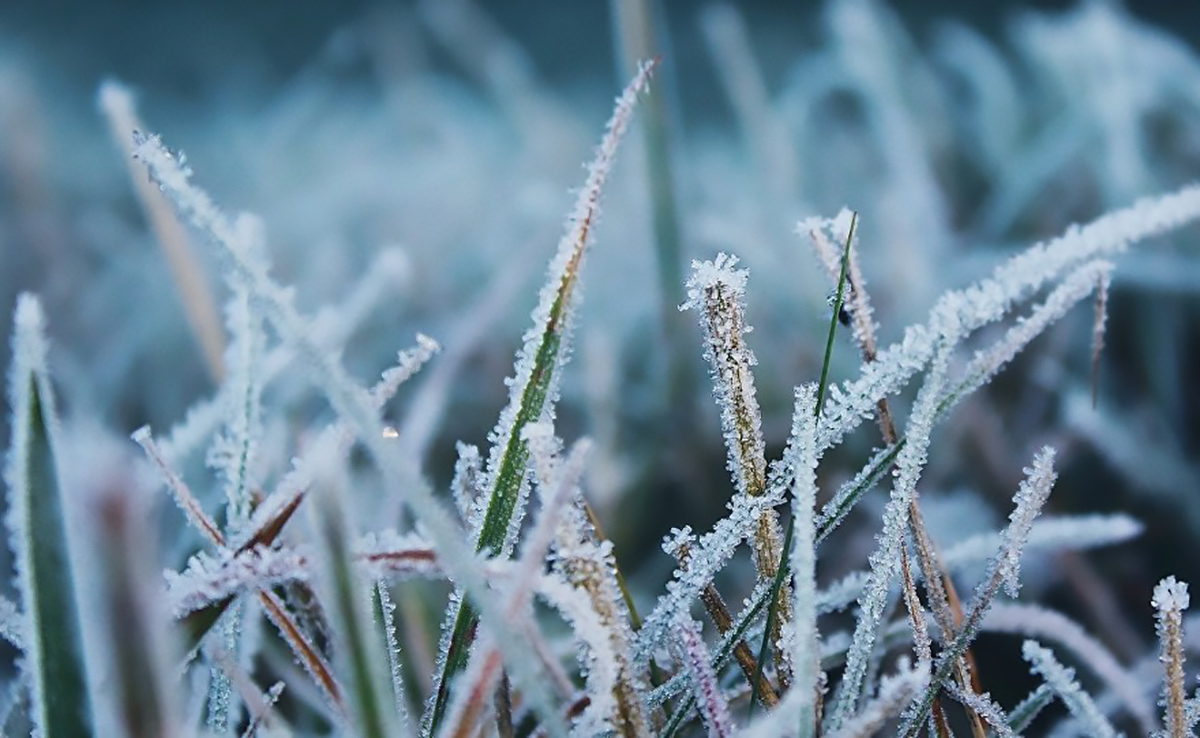 Ostrzeżenie meteorologiczne Nr 33 - Przymrozki