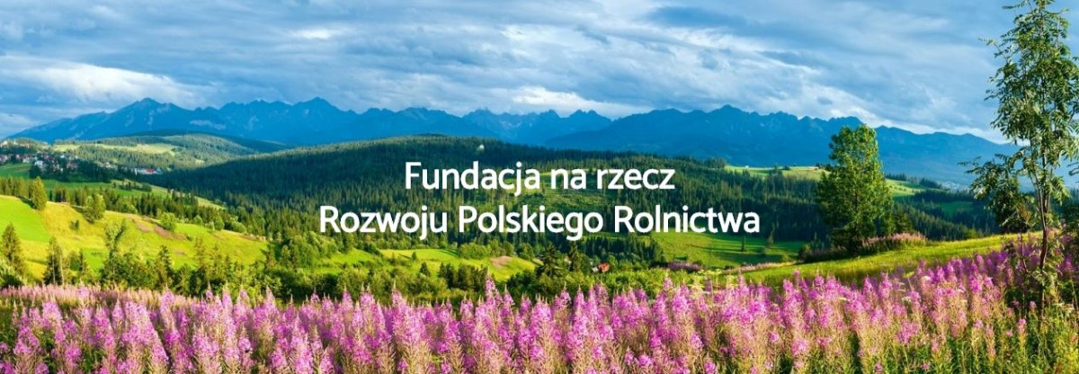 XIII EDYCJA KONKURSU „POLSKA WIEŚ – DZIEDZICTWO I PRZYSZŁOŚĆ”