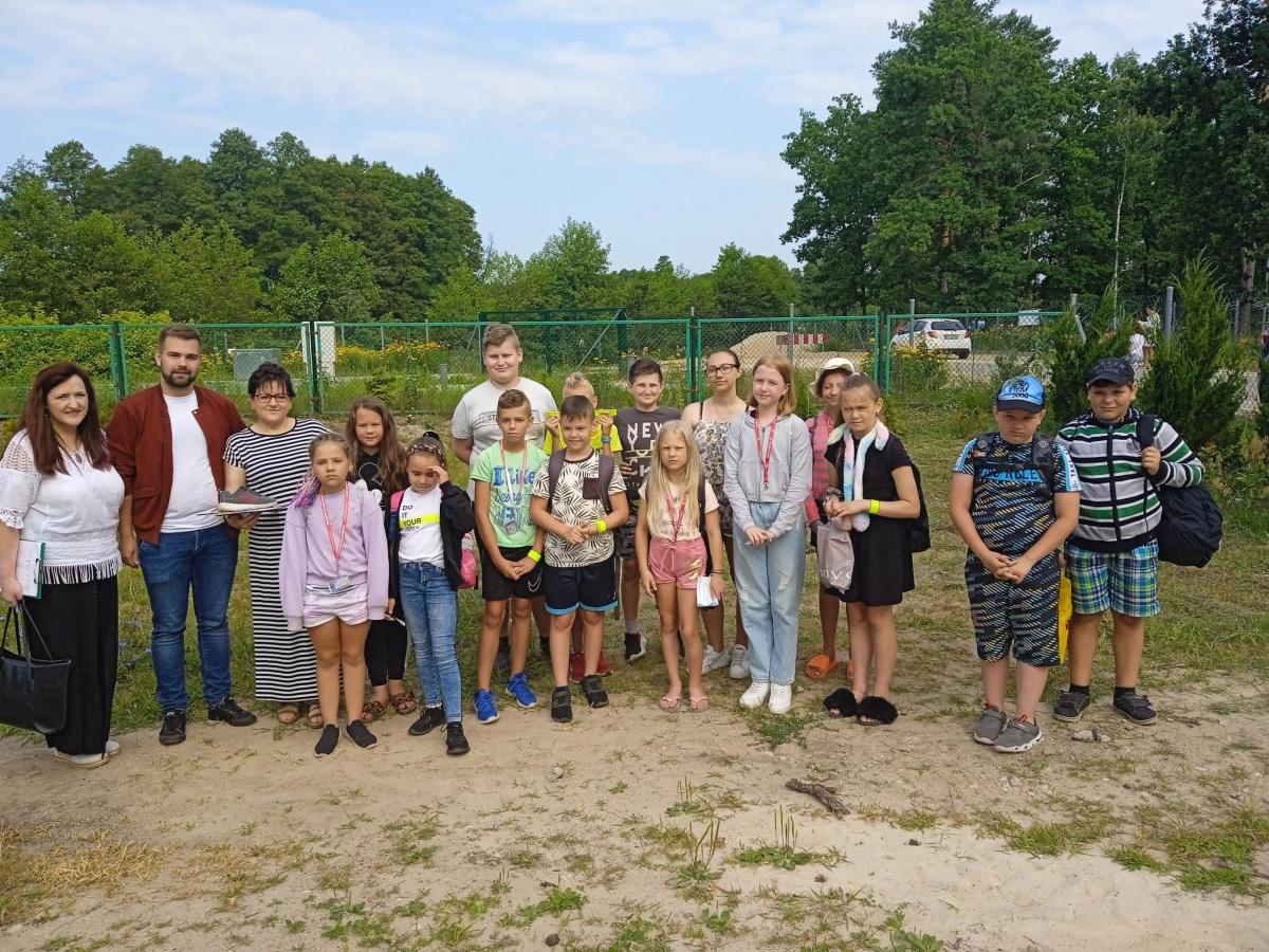 Kolonie w Ptakach