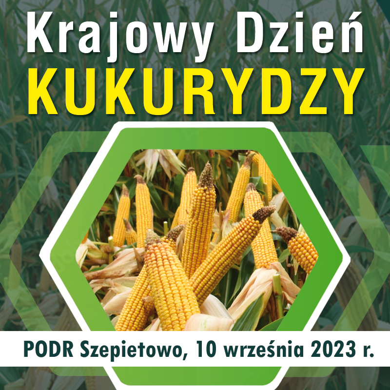 Krajowy Dzień Kukurydzy w PODR Szepietowo