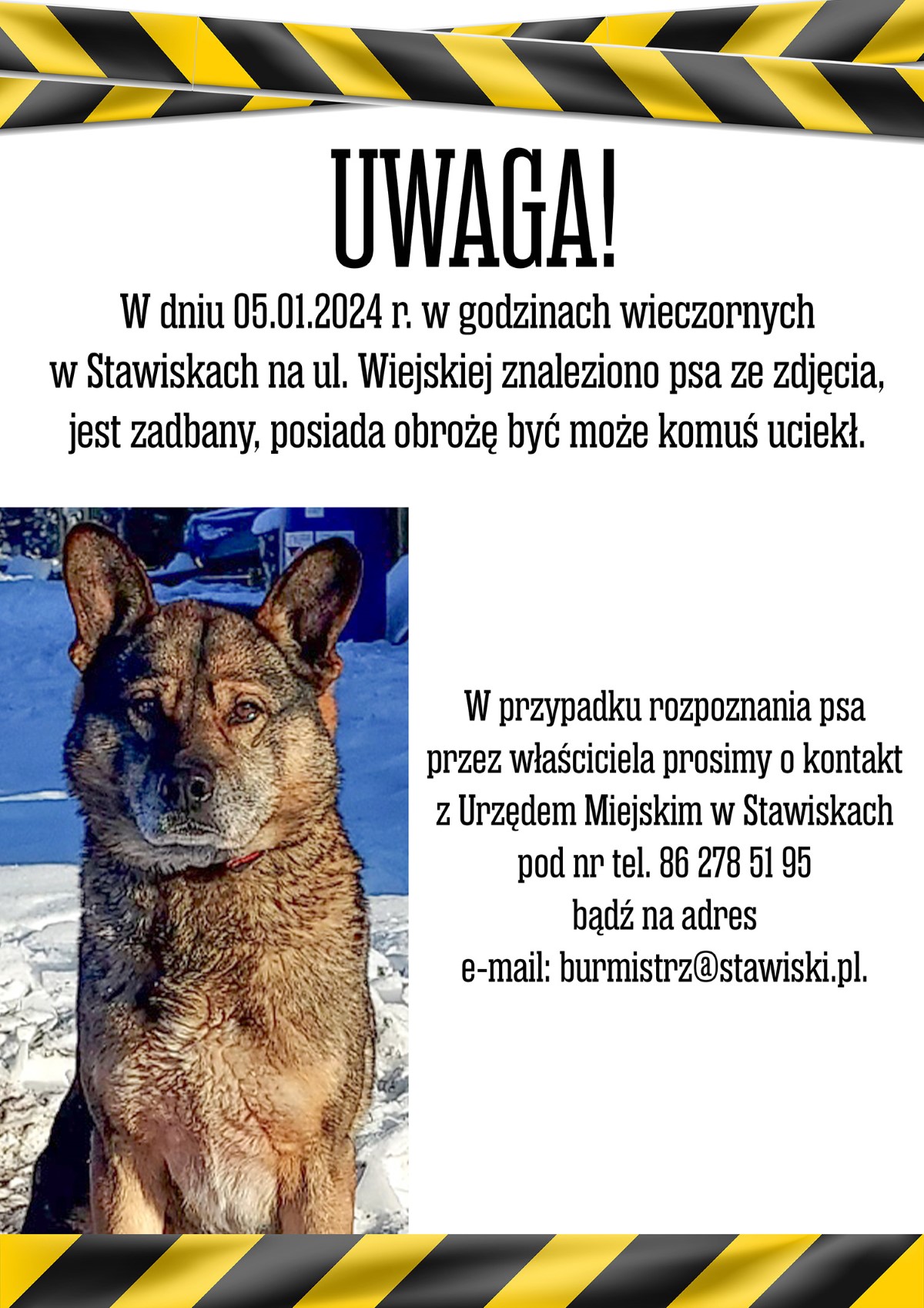 Uwaga! Znaleziono psa!