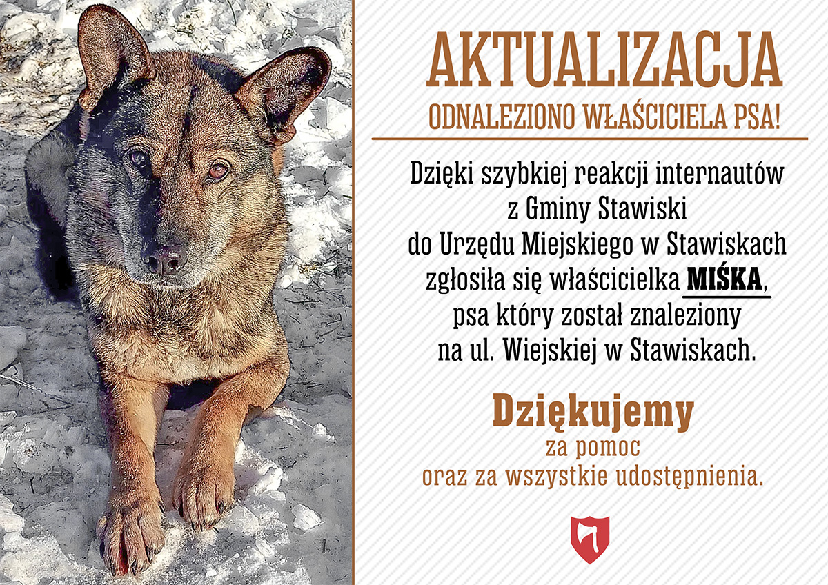 Odnaleziono właściciela psa!