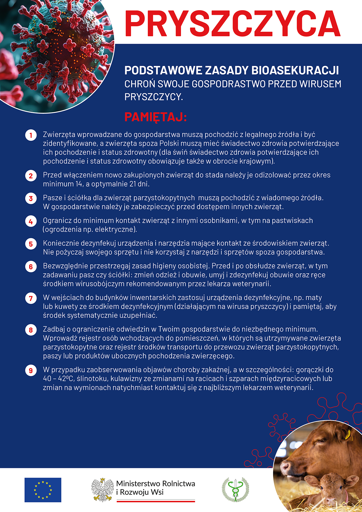 Pryszczyca - podstawowe zasady bioasekuracji